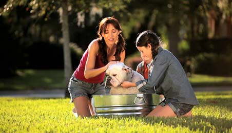 Family taking care of a dog and nature