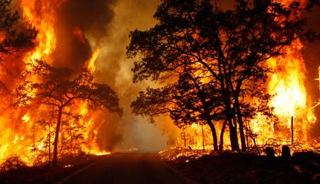 A Wildfire