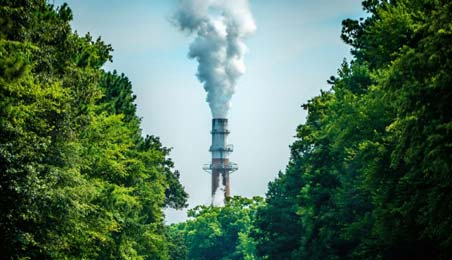 Trees removing air pollution