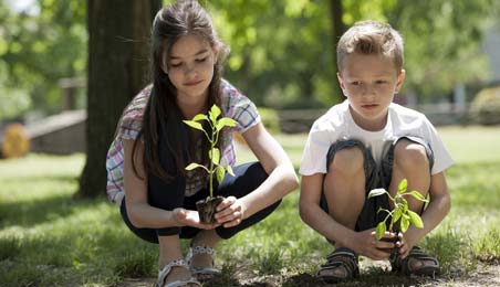 Children planting trees