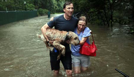 A family struggling in the water after the occurence of hurricane Harvey
